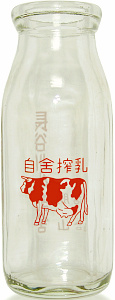J싍 (1)