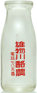 Y엏_