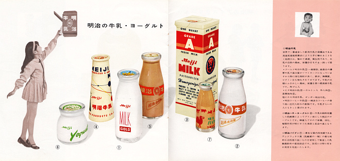 明治乳業の製品パンフレット・牛乳/ヨーグルトの紹介(昭和30年代初期〜中期)